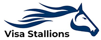 Visa Stallions Logo